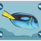 Ocean - Great Barrier Reef