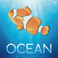 Ocean - Great Barrier Reef
